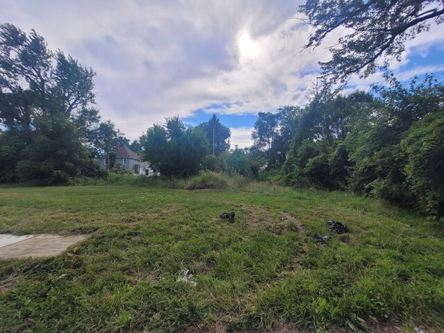 3443 Beals St, Detroit, MI 48214 - photo 12