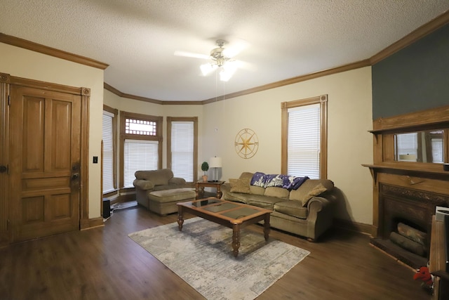 living room featuring a textured ceiling, dark hardwood / wood-style floors, ceiling fan, and ornamental molding