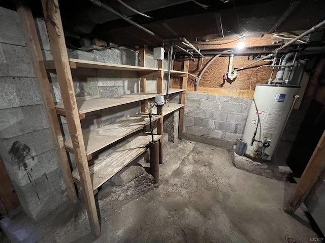 basement featuring a workshop area and gas water heater