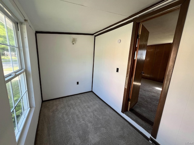 474 Merrick St, Adrian, MI 49221 - unfurnished bedroom featuring carpet flooring, baseboards, and wooden walls