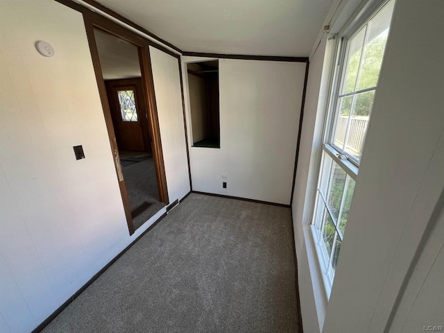 unfurnished bedroom with carpet flooring, multiple windows, and ornamental molding