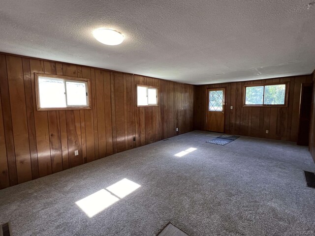 474 Merrick St, Adrian, MI 49221 - empty room with carpet flooring, a textured ceiling, and wood walls