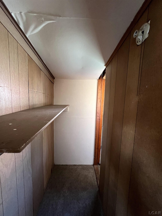 spacious closet featuring carpet flooring