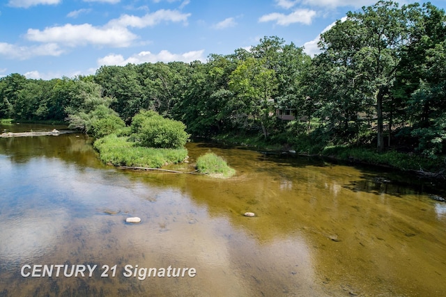 property view of water