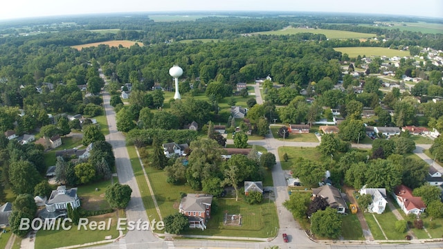 bird's eye view