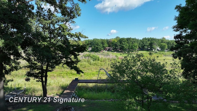 view of local wilderness