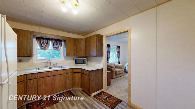 kitchen featuring plenty of natural light, white refrigerator, light hardwood / wood-style floors, and sink