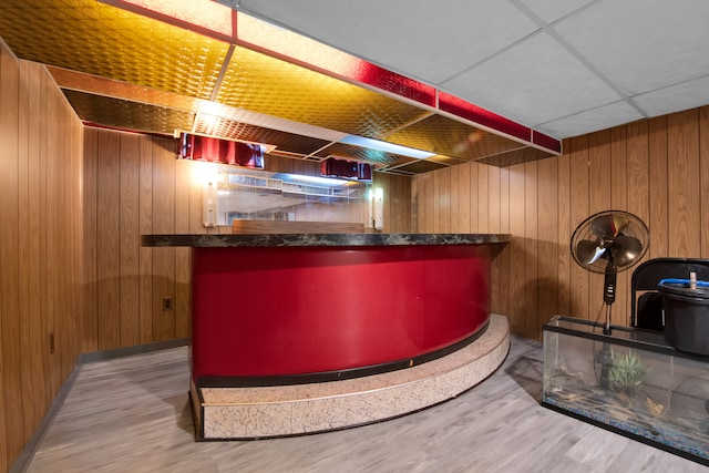 bar featuring light hardwood / wood-style floors and wooden walls