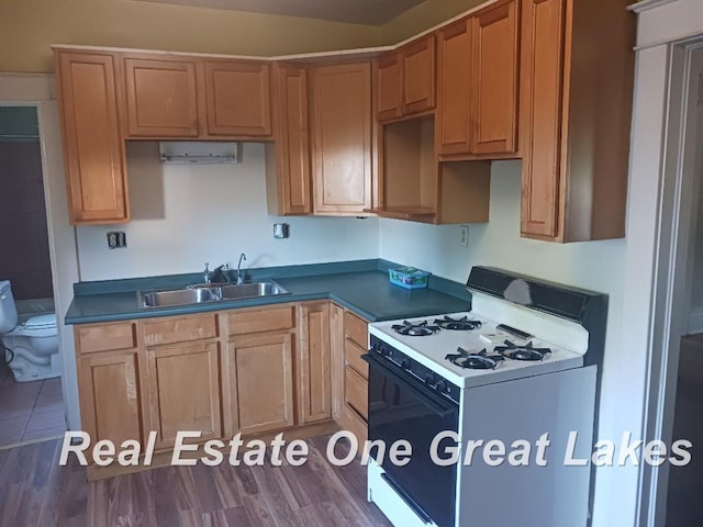 kitchen featuring dark hardwood / wood-style flooring, white gas range, and sink