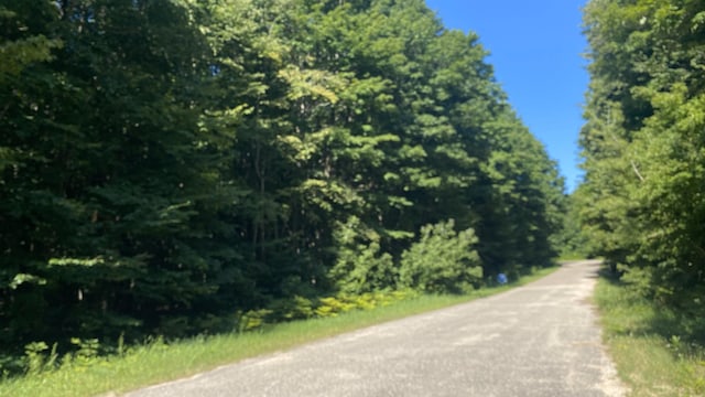 LOT113 Forestgrove Ct, Elmira, MI 49730 - photo 2