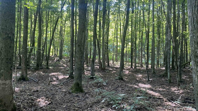 LOT113 Forestgrove Ct, Elmira, MI 49730 - photo 5