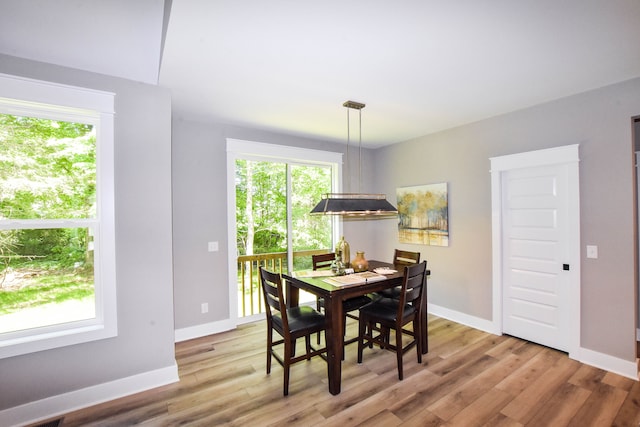 dining space with light hardwood / wood-style floors