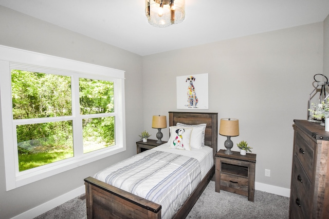 bedroom featuring carpet flooring