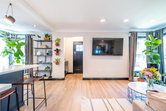 living room featuring light hardwood / wood-style floors and a wealth of natural light