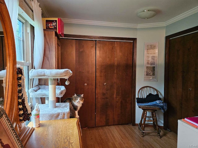 interior space featuring hardwood / wood-style flooring and ornamental molding