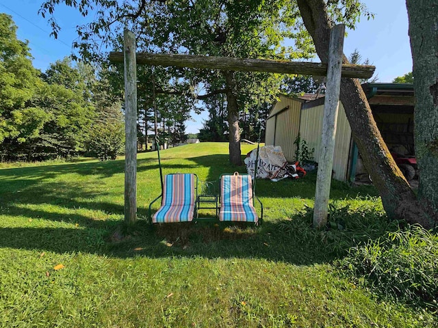 view of yard with a storage unit