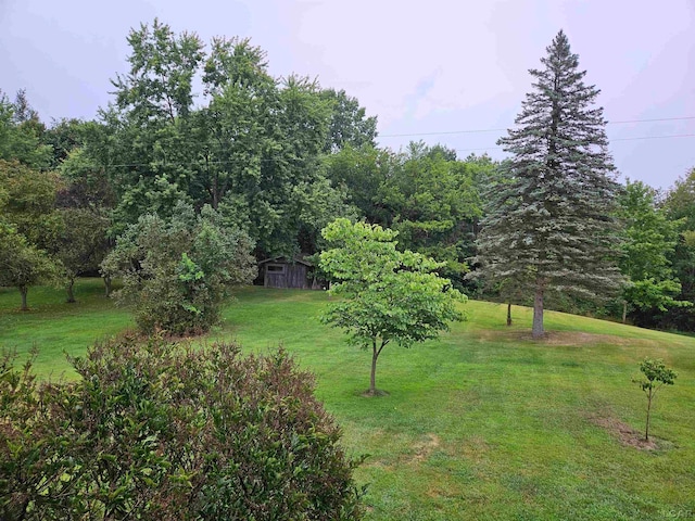 view of yard with a storage unit