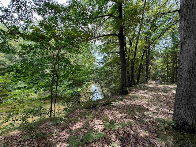 Listing photo 2 for TBD River Run Trail, Mount Pleasant MI 48858