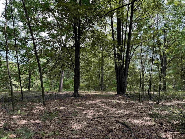 TBD River Run Trail, Mount Pleasant, MI 48858 - photo 4