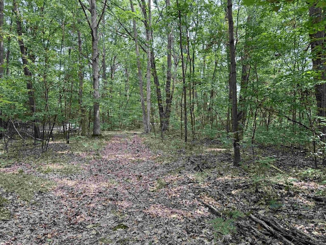 TBD River Run Trail, Mount Pleasant, MI 48858 - photo 6