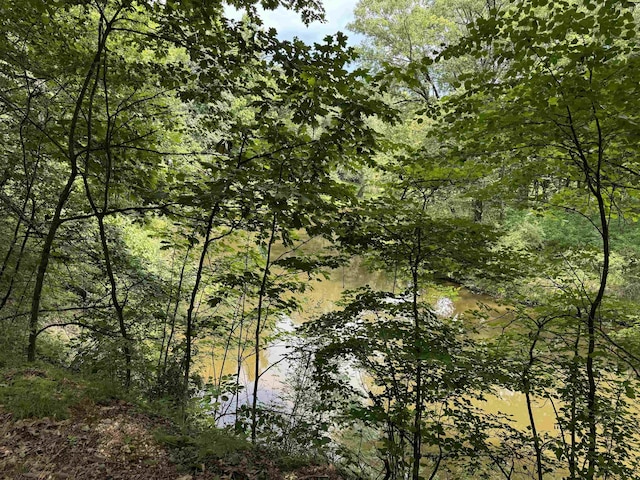 TBD River Run Trail, Mount Pleasant, MI 48858 - photo 1