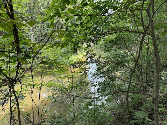 TBD River Run Trail, Mount Pleasant, MI 48858 - photo 3