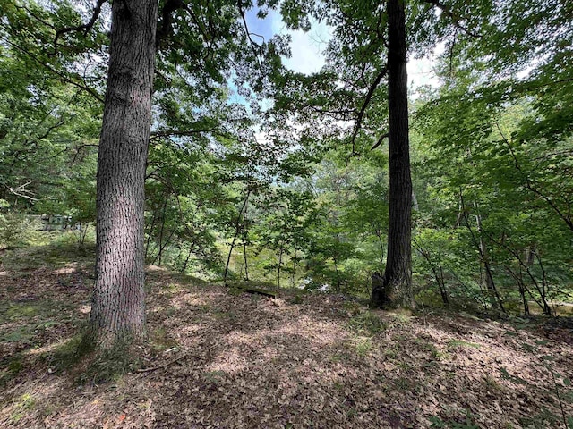 TBD River Run Trail, Mount Pleasant, MI 48858 - photo 5