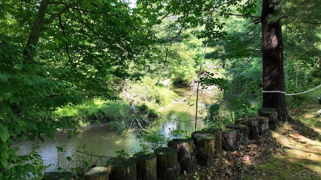 view of nature with a water view