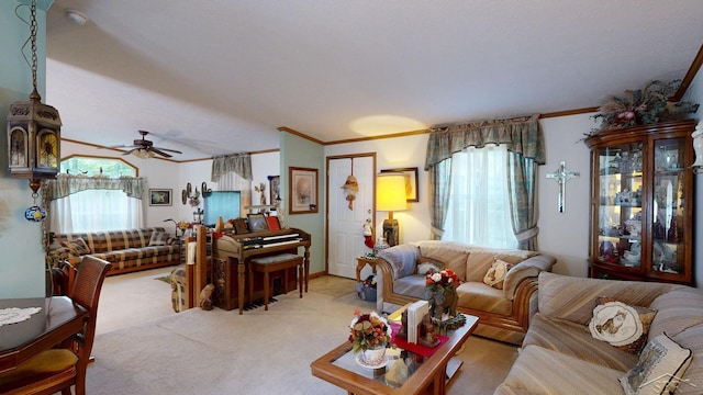 carpeted living room with ceiling fan, crown molding, and a wealth of natural light