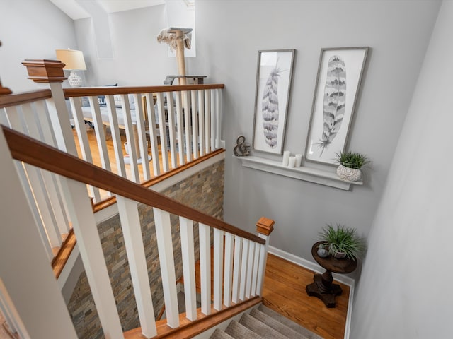 stairway with hardwood / wood-style floors