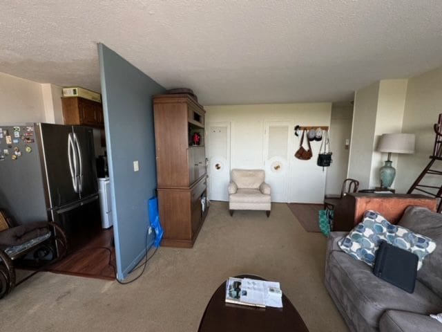 carpeted living room with a textured ceiling