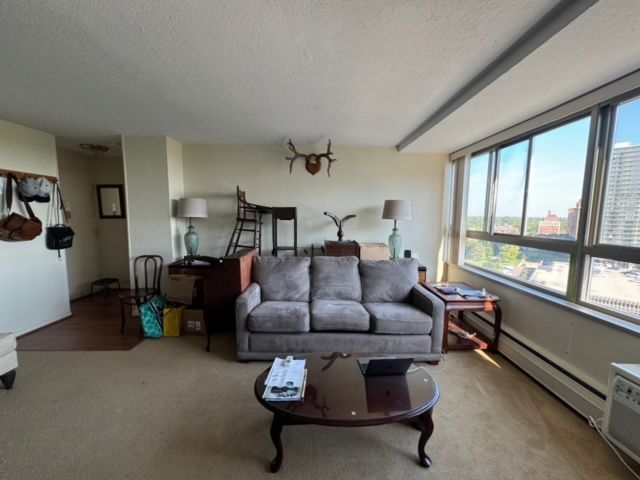 carpeted living room with a textured ceiling and a baseboard heating unit