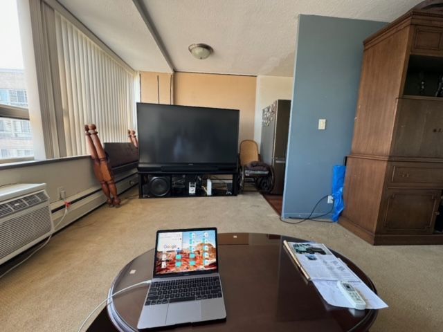 living room featuring carpet