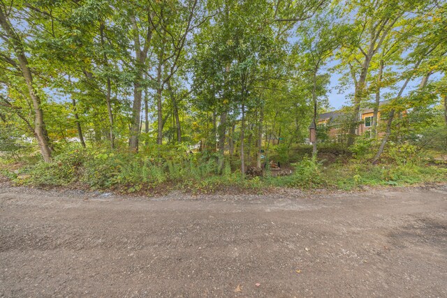 000 Canyon Dr, Milford, MI 48380 - photo 3