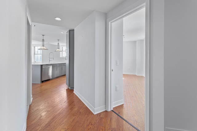 corridor with sink and wood-type flooring