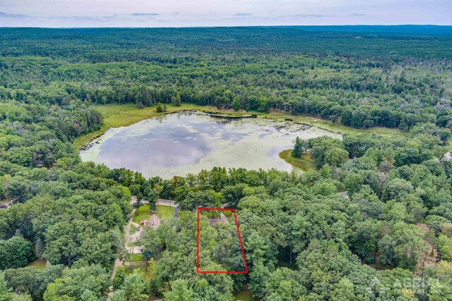 4100 Grass Lake Rd, West Branch, MI 48661 - view of property location with a forest, a nearby body of water, and property parcel outlined