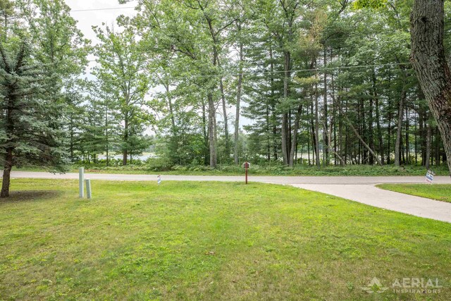 4100 Grass Lake Rd, West Branch, MI 48661 - view of grassy yard
