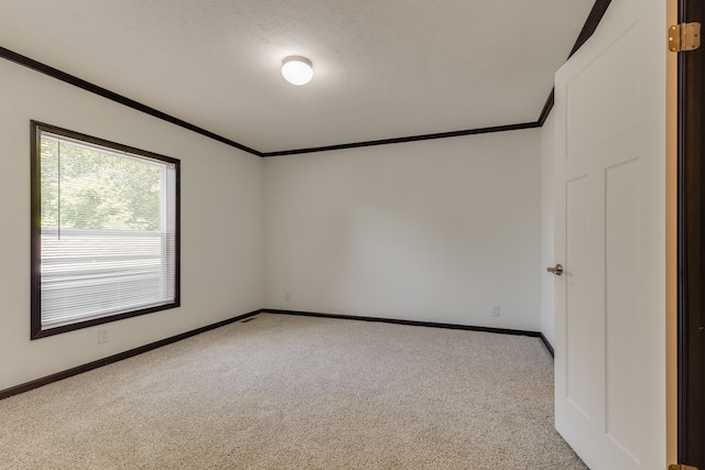 empty room with crown molding, light colored carpet, and a textured ceiling