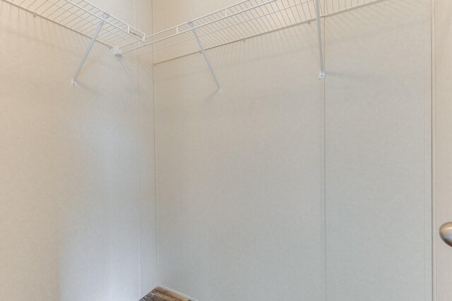 575 Gallery Dr Unit 48, Eaton Rapids, MI 48827 - view of walk in closet