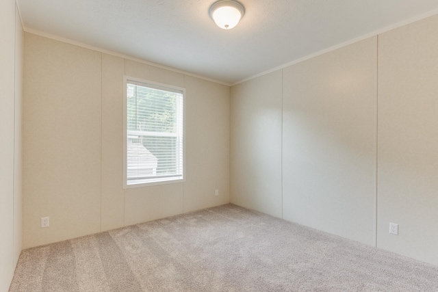 575 Gallery Dr Unit 48, Eaton Rapids, MI 48827 - spare room with carpet flooring and crown molding