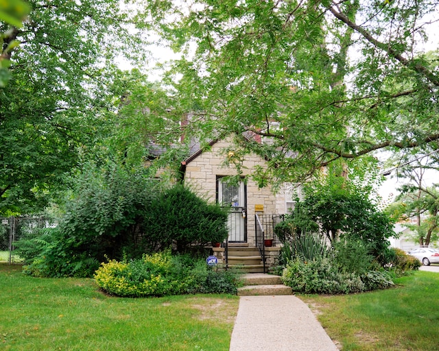 obstructed view of property with a front lawn