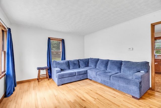 living room with a textured ceiling and hardwood / wood-style flooring