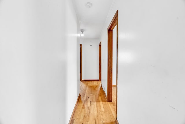 hall featuring light hardwood / wood-style floors