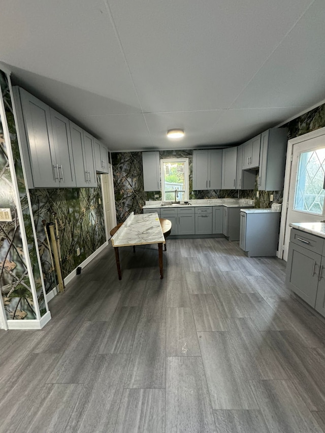 kitchen with hardwood / wood-style flooring, gray cabinetry, and sink