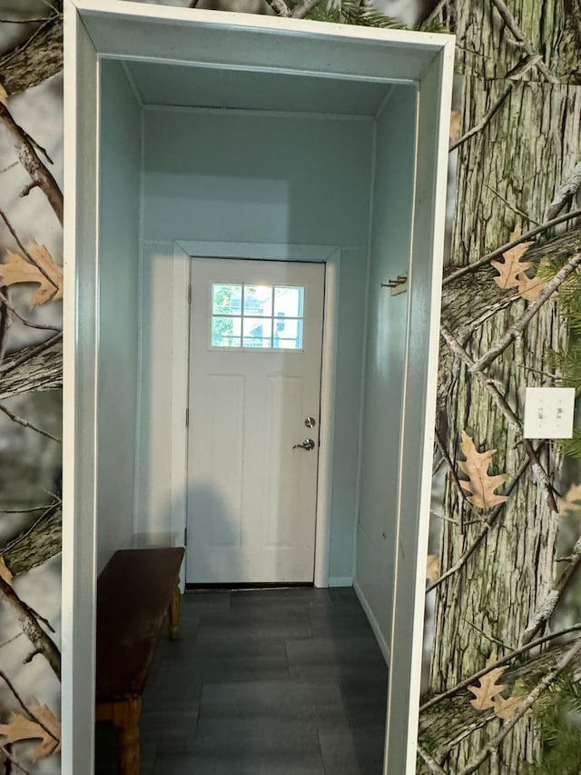 doorway featuring dark hardwood / wood-style flooring