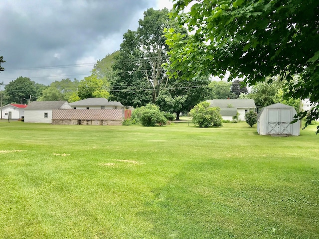 view of yard with a shed