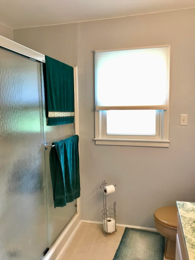 bathroom with vanity, toilet, a shower with door, and a wealth of natural light