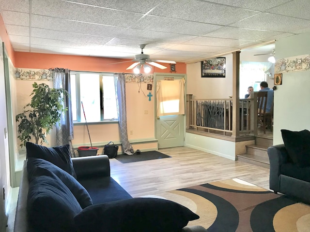 living room with a paneled ceiling, ceiling fan, and light hardwood / wood-style floors