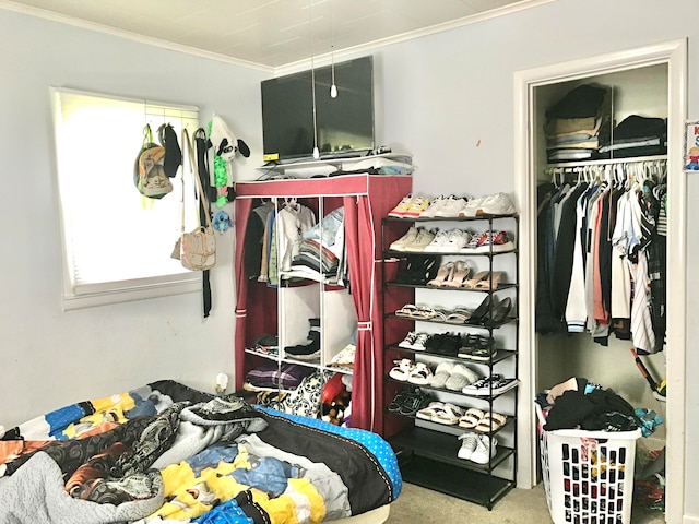 bedroom with carpet, ornamental molding, and a closet