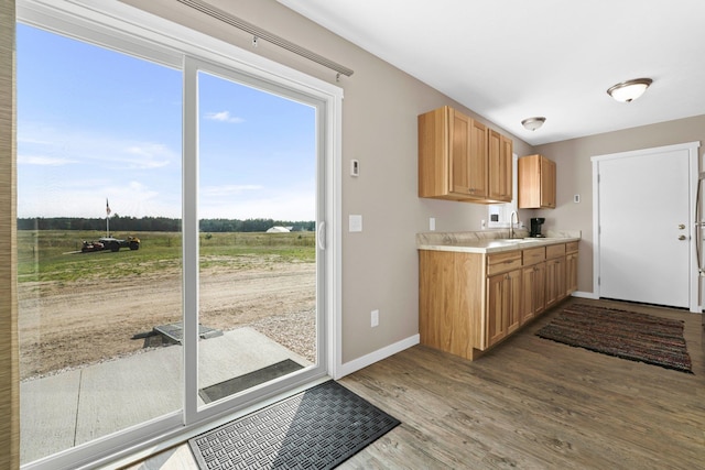 kitchen featuring sink, a rural view, and hardwood / wood-style flooring